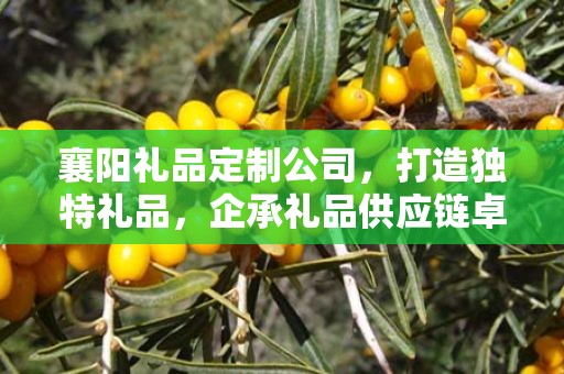 襄阳礼品定制公司，打造独特礼品，企承礼品供应链卓越服务