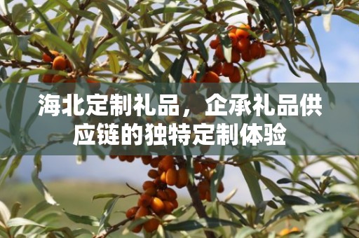 海北定制礼品，企承礼品供应链的独特定制体验